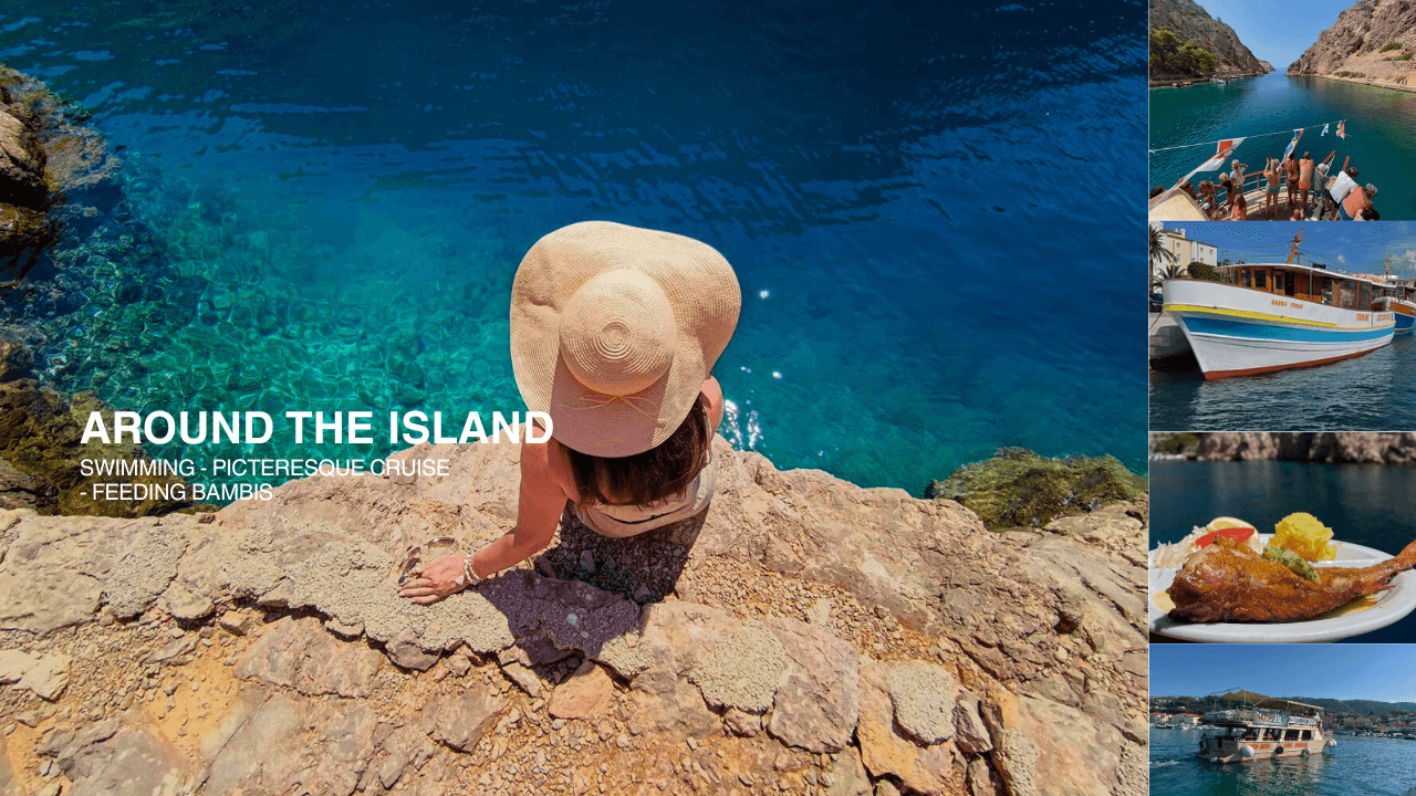 Around the island tour